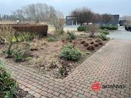 erhvervs lokaler 427 m2  + 1200 m2 udstillingsplads. Andet… - 22