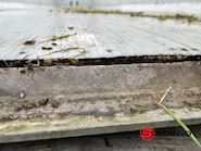 Langendorf SKA36 60m3 alu kasse med plastindlæg Kippanhänger - 10