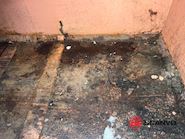 Micodan A/S 4000 mm - ca. 10 m3 Geschlossen Müll - 7