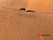 Lasto 6,1 mtr pendel Pendel - 15